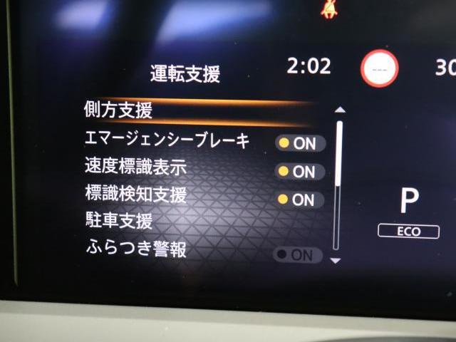 24576273_carP_l_13.jpg