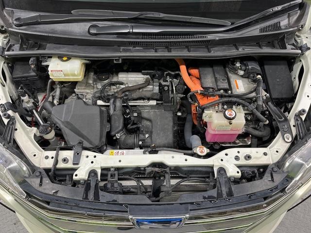 26105934_carP_l_18.jpg