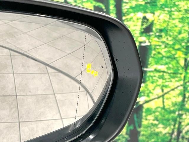 26335538_carP_l_13.jpg