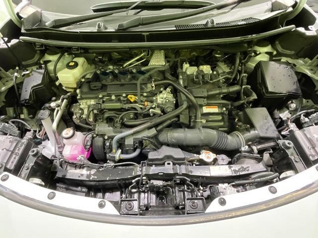 26469130_carP_l_16.jpg