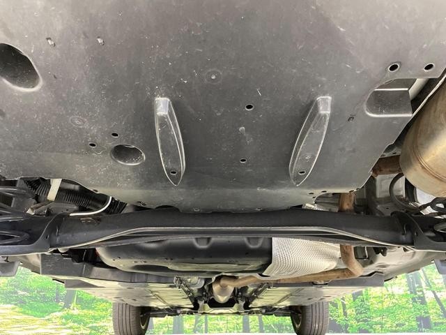 26469130_carP_l_18.jpg