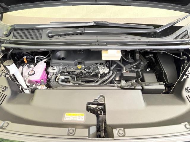 25652819_carP_l_11.jpg