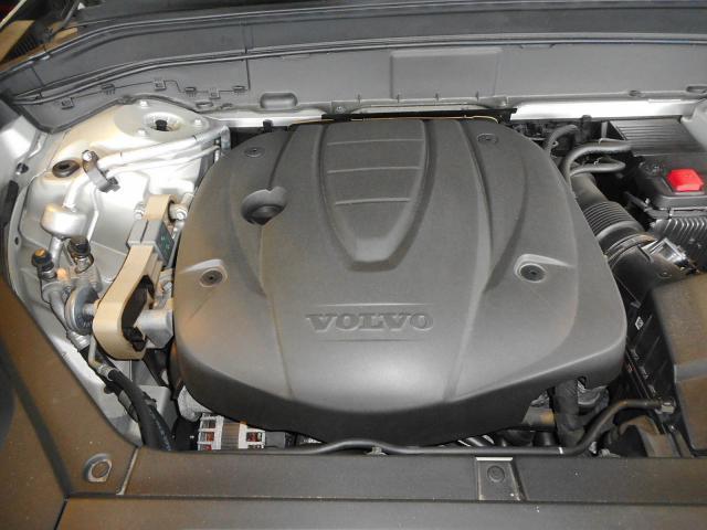 24357559_carP_l_20.jpg