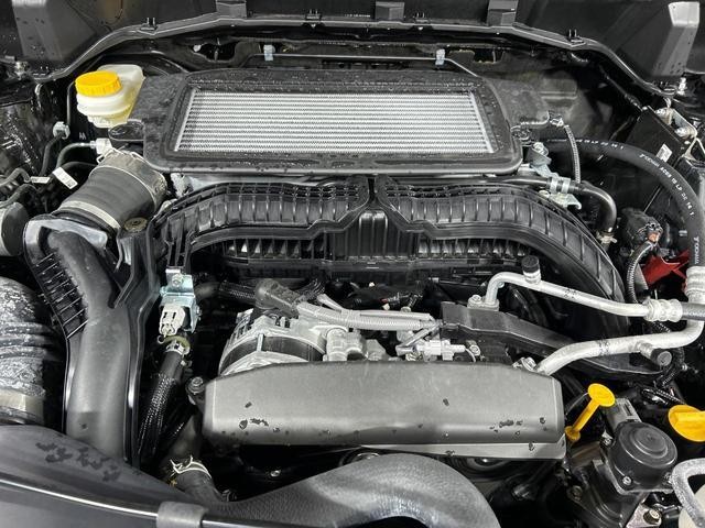 25572087_carP_l_16.jpg