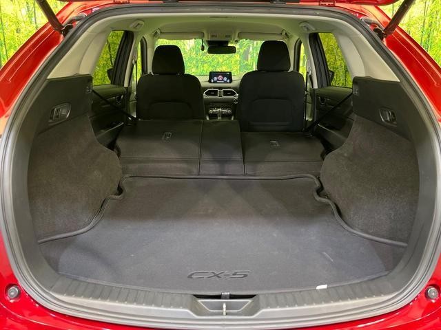 25694178_carP_l_5.jpg