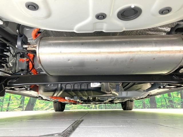25653116_carP_l_20.jpg