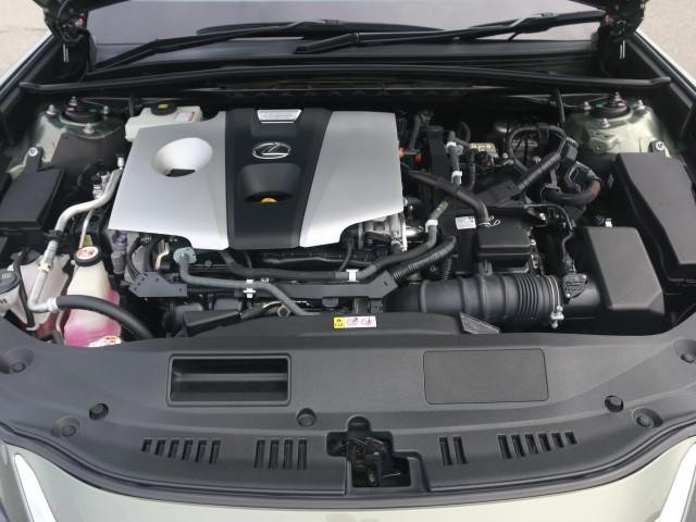 25968433_carP_l_17.jpg