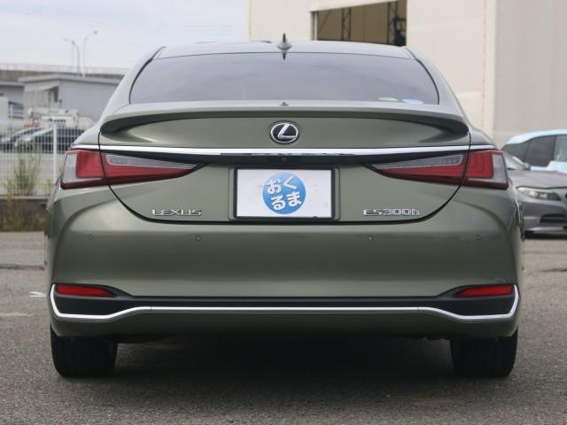 25968433_carP_l_3.jpg