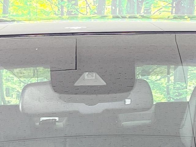 25096668_carP_l_13.jpg
