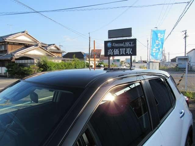 26185138_carP_l_5.jpg