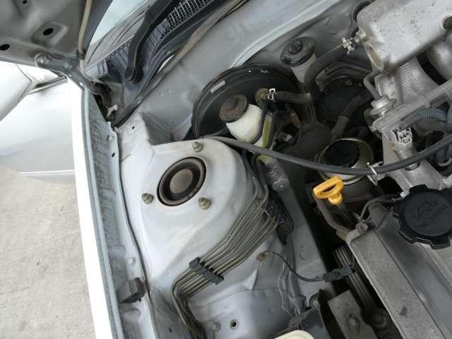 25174708_carP_l_11.jpg