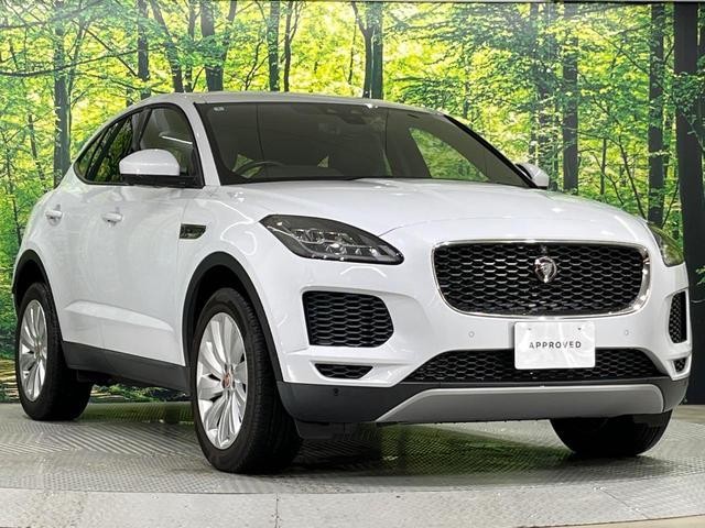 25694310_carP_l_2.jpg