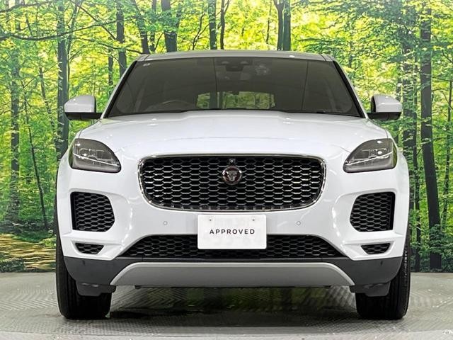 25694310_carP_l_5.jpg