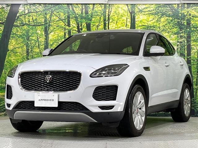 25694310_carP_l_6.jpg