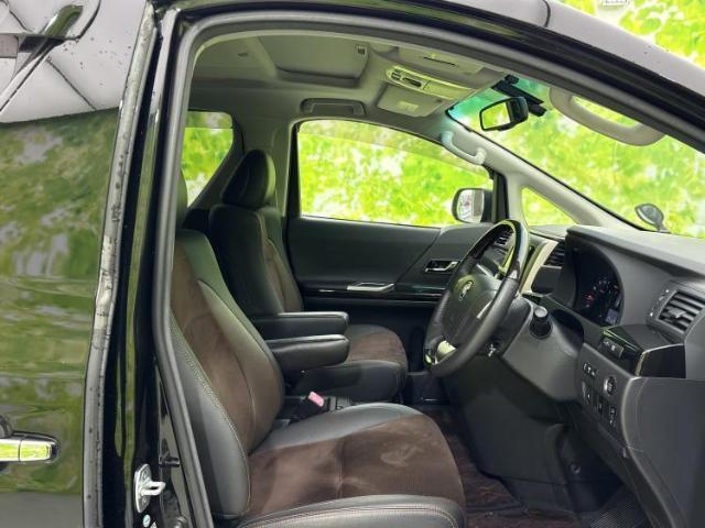 23660837_carP_l_4.jpg