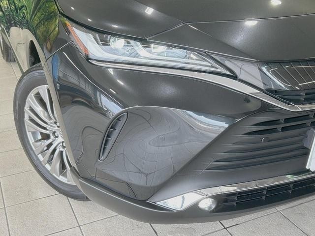 25507251_carP_l_6.jpg