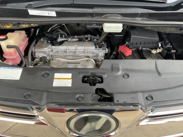 24847005_carP_l_12.jpg