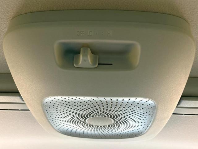 24030764_carP_l_10.jpg