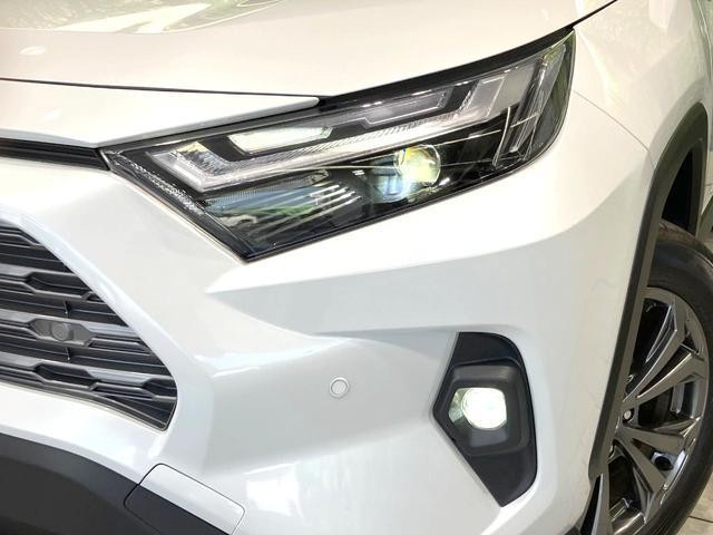 25653119_carP_l_6.jpg