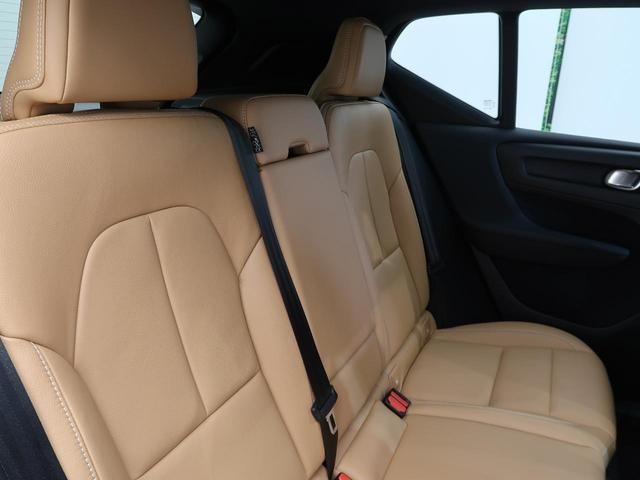 24994623_carP_l_8.jpg
