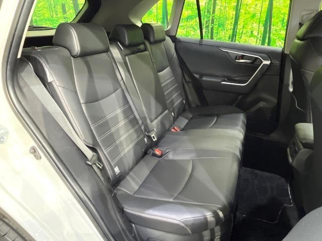 24685982_carP_l_5.jpg