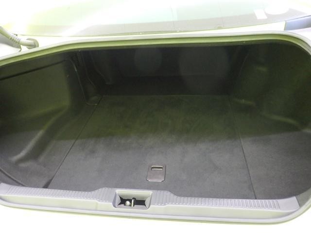 26141395_carP_l_7.jpg