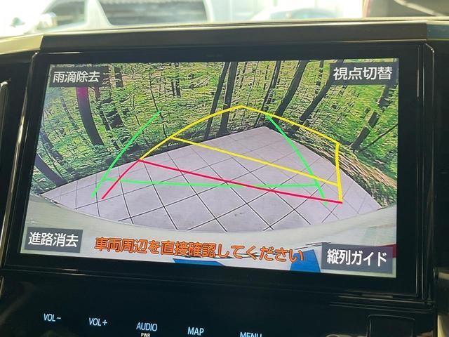 25076180_carP_l_4.jpg