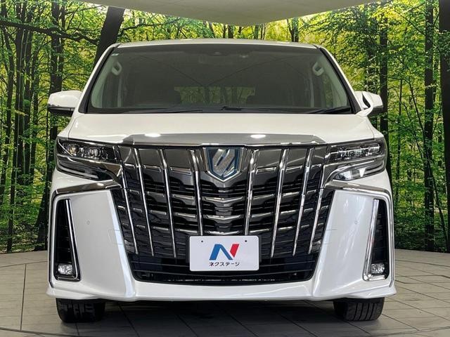 25076180_carP_l_9.jpg