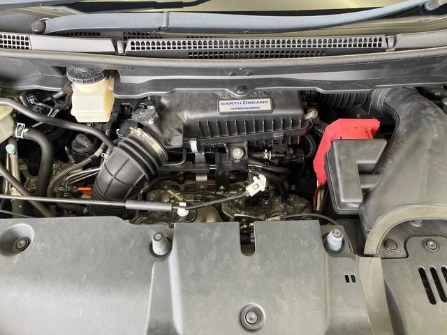 26084564_carP_l_18.jpg
