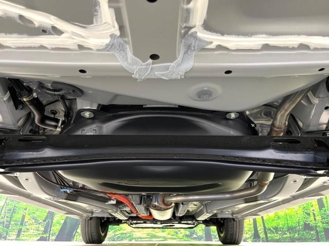 26773941_carP_l_18.jpg