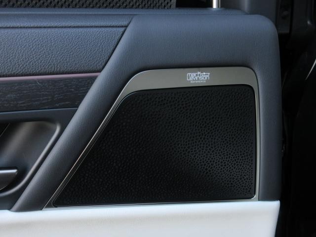 25572479_carP_l_6.jpg
