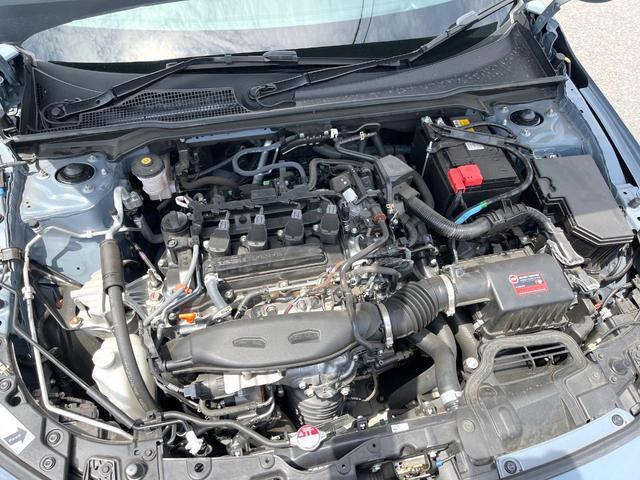 23734677_carP_l_18.jpg