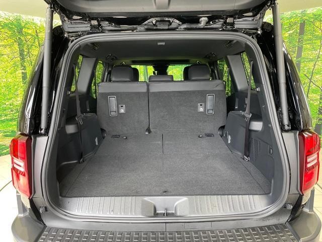24995389_carP_l_5.jpg