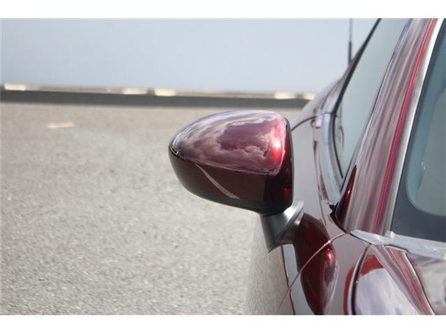 25890142_carP_l_16.jpg