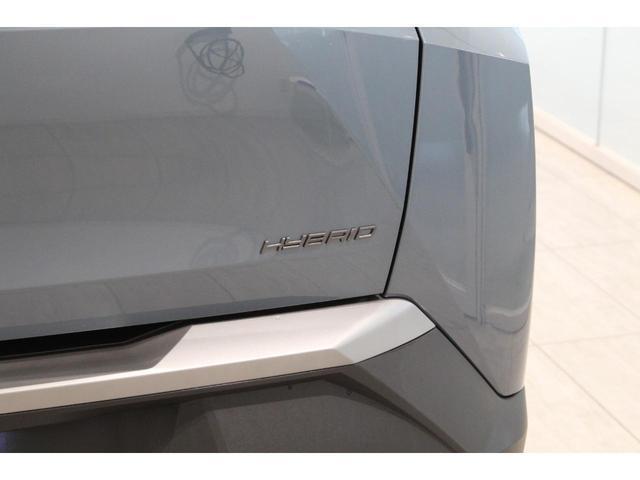 24029339_carP_l_9.jpg