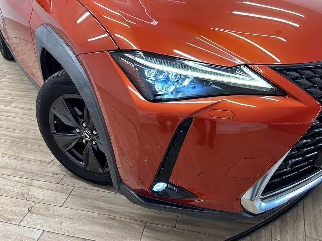 26572467_carP_l_20.jpg