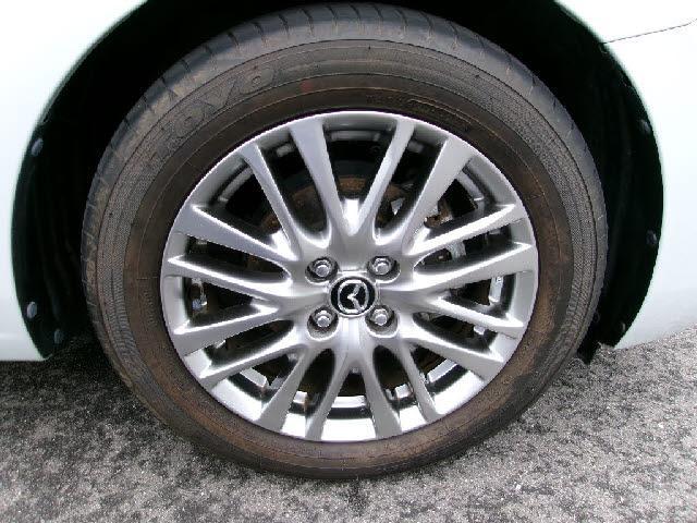 24547070_carP_l_10.jpg