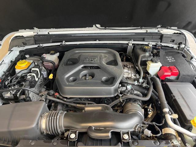 24089796_carP_l_20.jpg