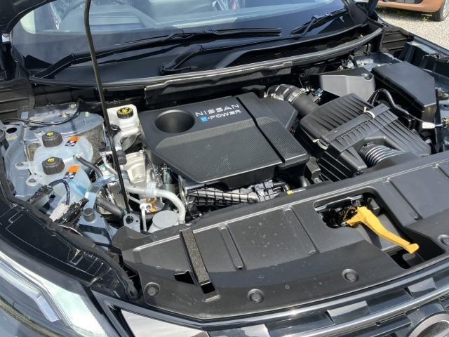 25572279_carP_l_17.jpg