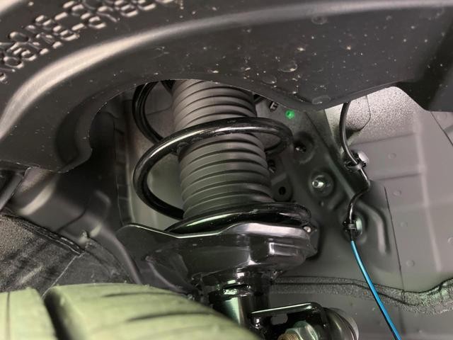 25694449_carP_l_18.jpg