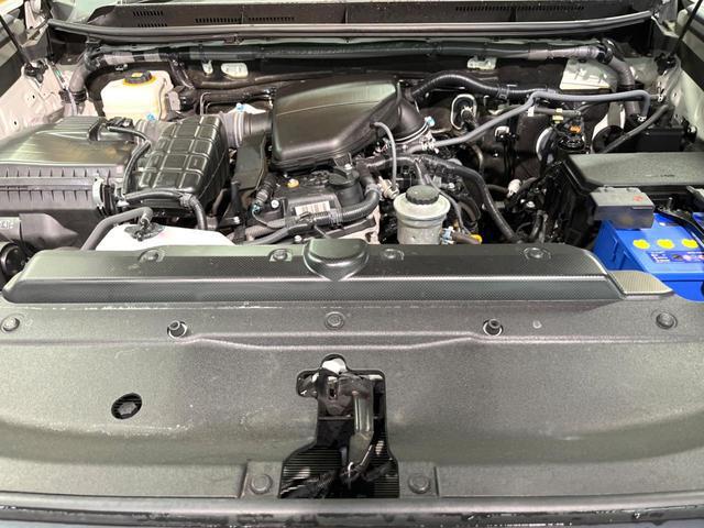 23497109_carP_l_16.jpg