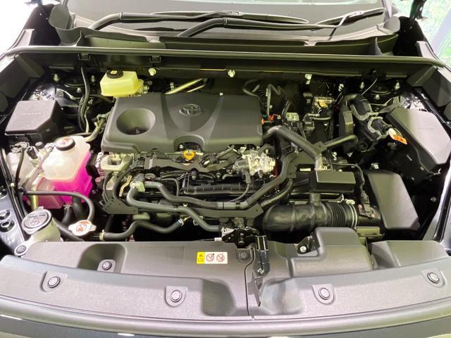 24828893_carP_l_16.jpg