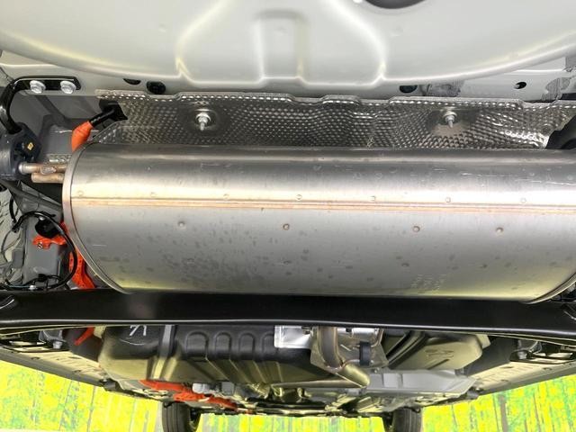 24440704_carP_l_18.jpg
