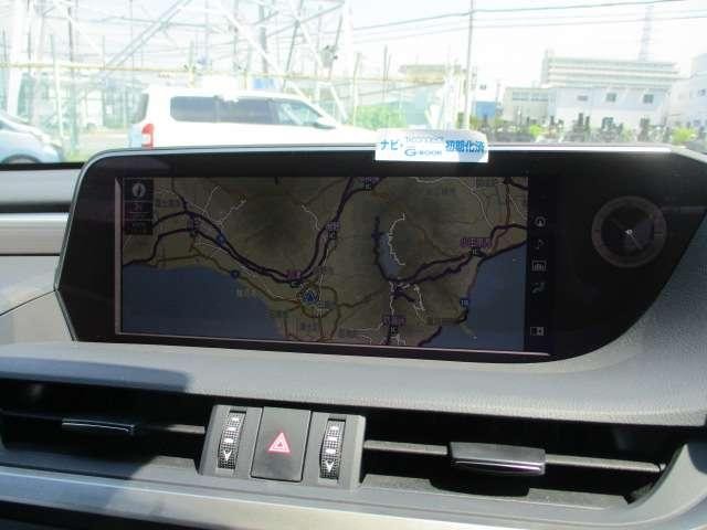 25553381_carP_l_9.jpg