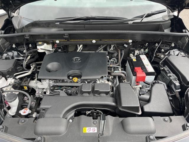 25174926_carP_l_16.jpg