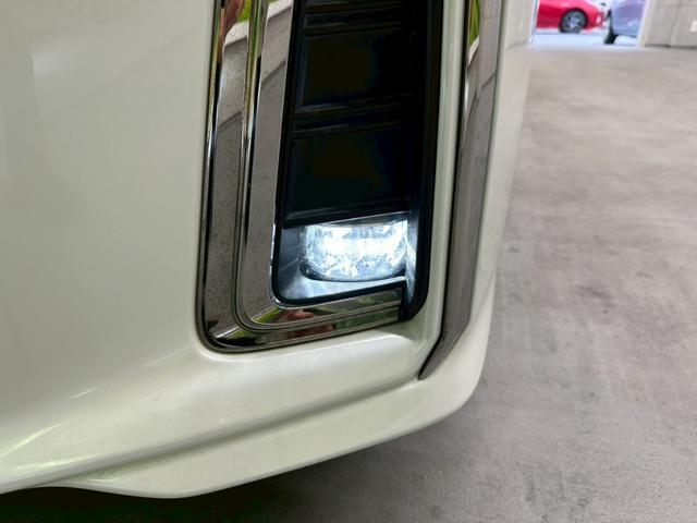 24111224_carP_l_8.jpg