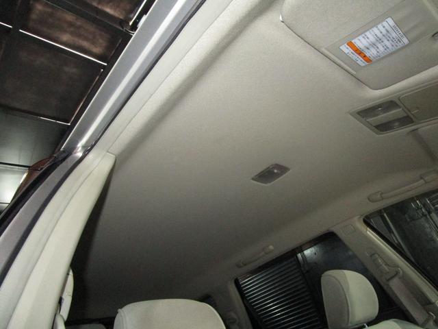 22850506_carP_l_16.jpg