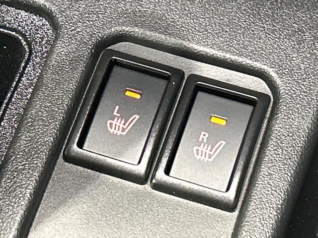 25096916_carP_l_13.jpg