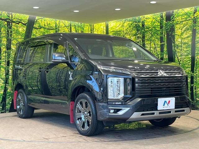 25694616_carP_l_12.jpg