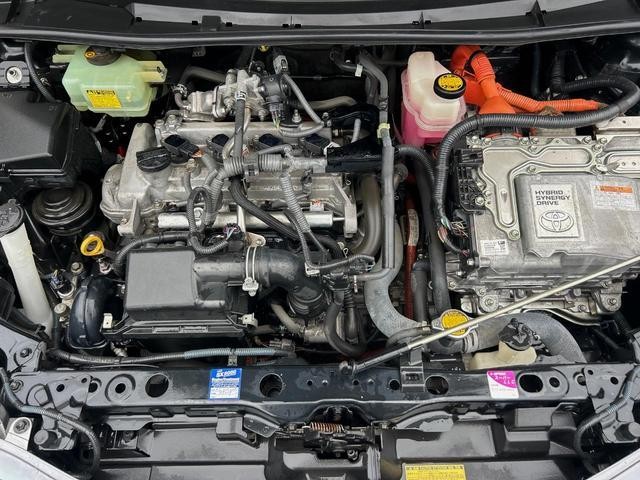 26335541_carP_l_12.jpg